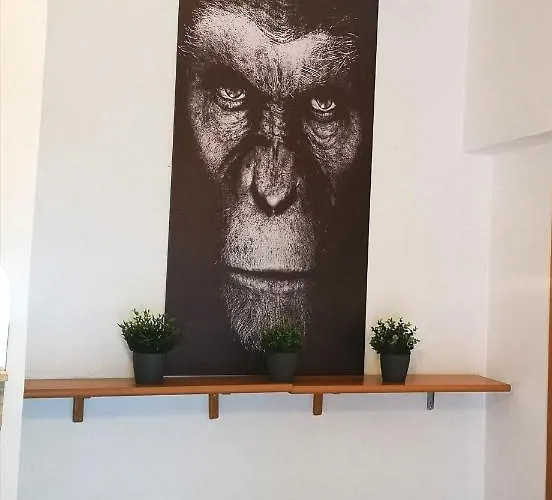 Appartamento Jungle Beach